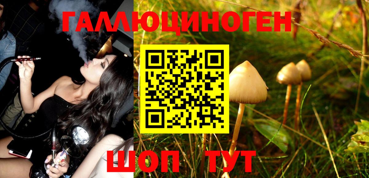 Псилоцибиновые грибы MAGIC MUSHROOMS Учалы