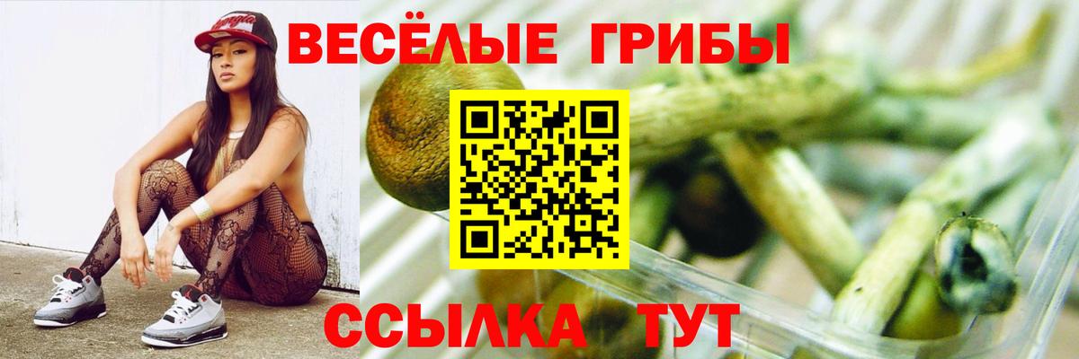 Галлюциногенные грибы прущие грибы  продажа наркотиков  Учалы  Вход с VPN  Псилоцибиновые грибы Cubensis 